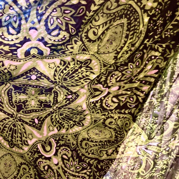 XS Bebe Green & Black Sheer, Lined Maxi Dress - Picture 13 of 15